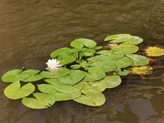 -天津盘山风景名胜区