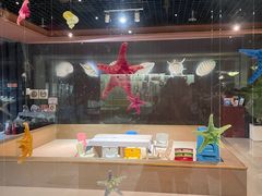 -青岛贝壳博物馆