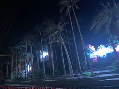 -三亚红色娘子军演艺公园景区