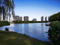 -南翔镇银翔湖公园
