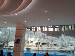 -帝企鹅自助餐厅•儿童岛•真企鹅(长隆企鹅酒店)