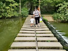 -桤木河湿地公园