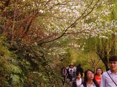 -贵阳市花溪国家城市湿地公园