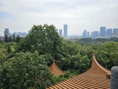 -深圳龙潭公园