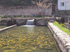 -秦岭风景区