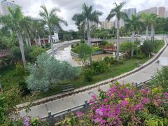 -金鸡岭桥头公园