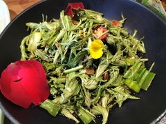 -雀舞云南菜(乐客城店)