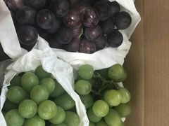 -美家乐农庄·露营·团建(大治路店)
