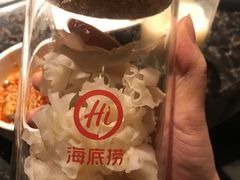 绣球菌-海底捞火锅(邯郸新世纪中心店)