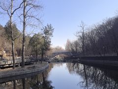 -白水寺森林公园
