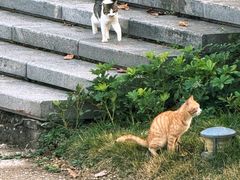 -荔湾湖公园