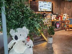 -了不起的考拉咖啡店(高新店)