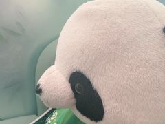 -眉州东坡·熊猫主题餐厅(枫蓝店)