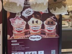 -哈根达斯(武汉天地店)