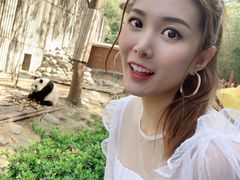 景点-成都大熊猫繁育研究基地