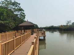-大湾区中央湿地公园