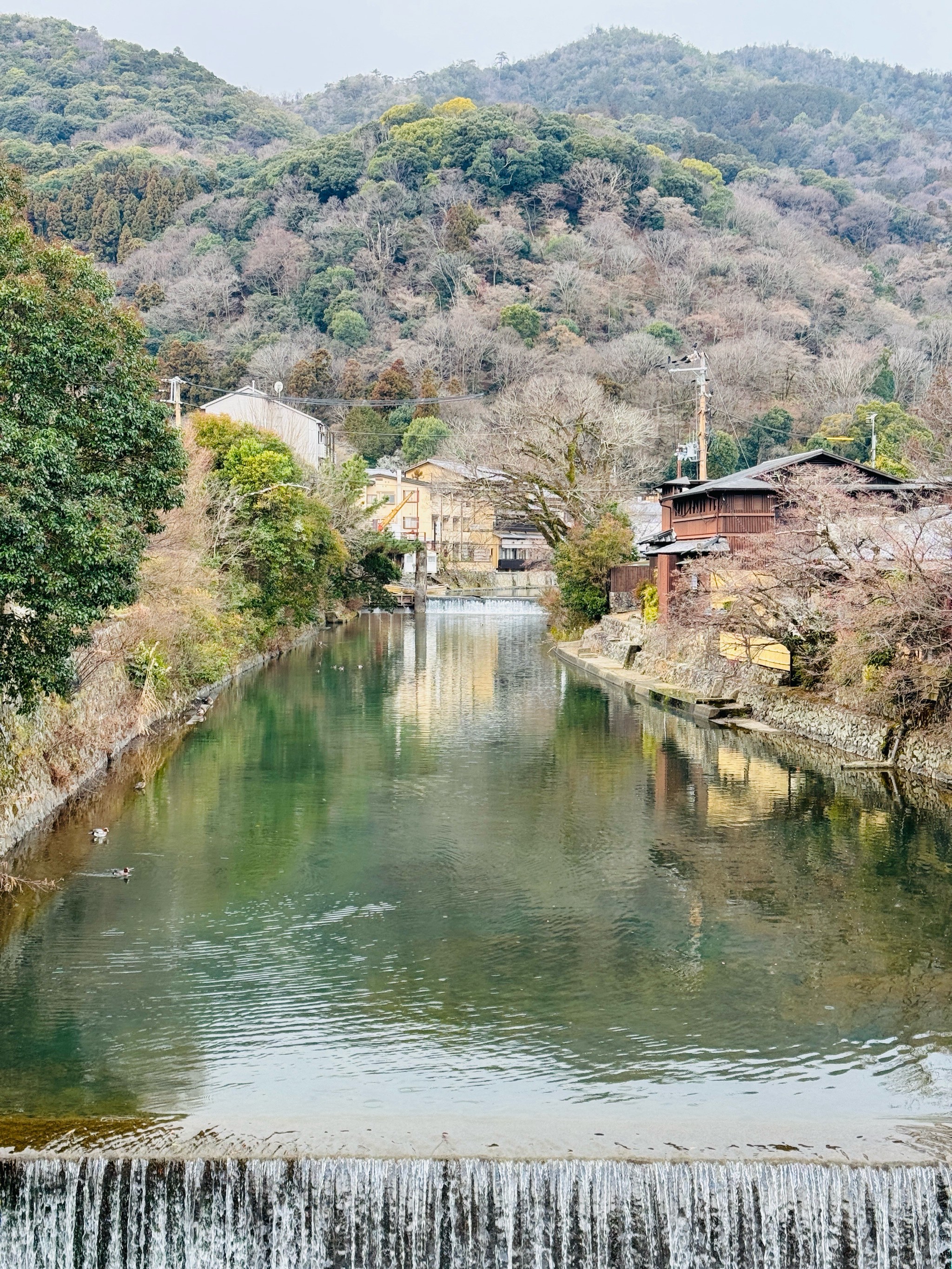 日本岚山图片