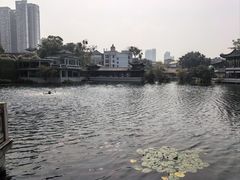 -荔湾湖公园