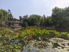 -国家植物园南园