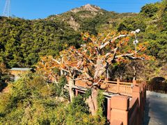 -黄腾峡天门悬廊