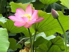 -WhaleSports户外水上运动俱乐部(朝阳公园店)