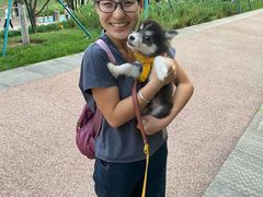 -多乐狗狗宠物训练工作室