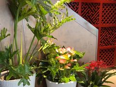 -喜湘宴·精致湖南菜(和平西桥店)