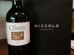 -长沙尼依格罗酒店