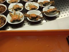 -梅园食堂