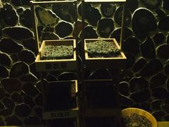 -丽辰新韩式商务SPA·洗浴桑拿·自助餐食