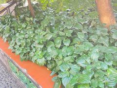 -广州神农草堂中医药博物馆