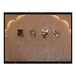 -归真美学颜究中心