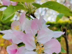 -星巴克(北京永定门店)