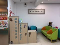 -北京观赏动物医院·24小时大型综合·猫专科·异宠专科
