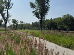 -汉长安城未央宫国家考古遗址公园