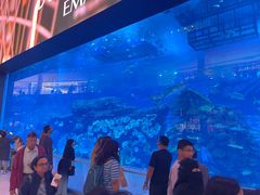 -迪拜水族馆及水下动物园