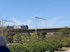 -永定河休闲森林公园