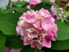 -新天地活力PARK