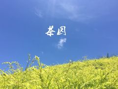 -东部华侨城