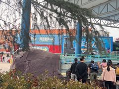 -海合安武汉极地海洋公园