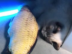 -零纪元VR体验馆·桌游(黄浦店)