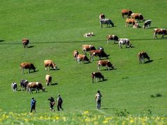 -日新铁锅焖面(坝上店)