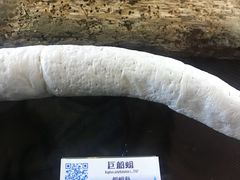 -贝壳梦幻世界