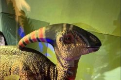 -恐龙探索乐园(磁器口店)