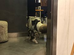 门面-咖法森林·咖啡  酒吧(天河店)