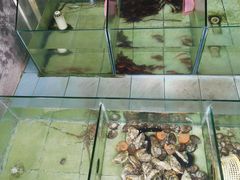 -东莞楼农家菜(金海湾大道分店)