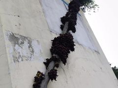 -金牛体育中心(金牛体育馆店)