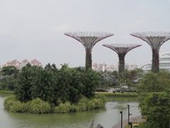-维乐口腔医院(星海湾分院)