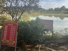 -南京市溧水区傅家边梅花山弄山庄