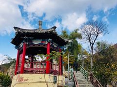 -双新垂钓园